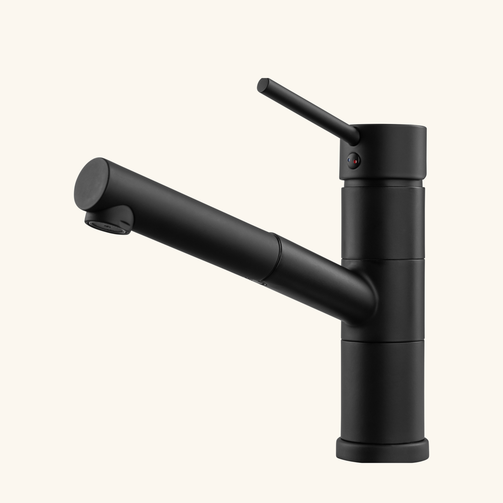 Robinet Douchette Luisina Noir Mat NOAH