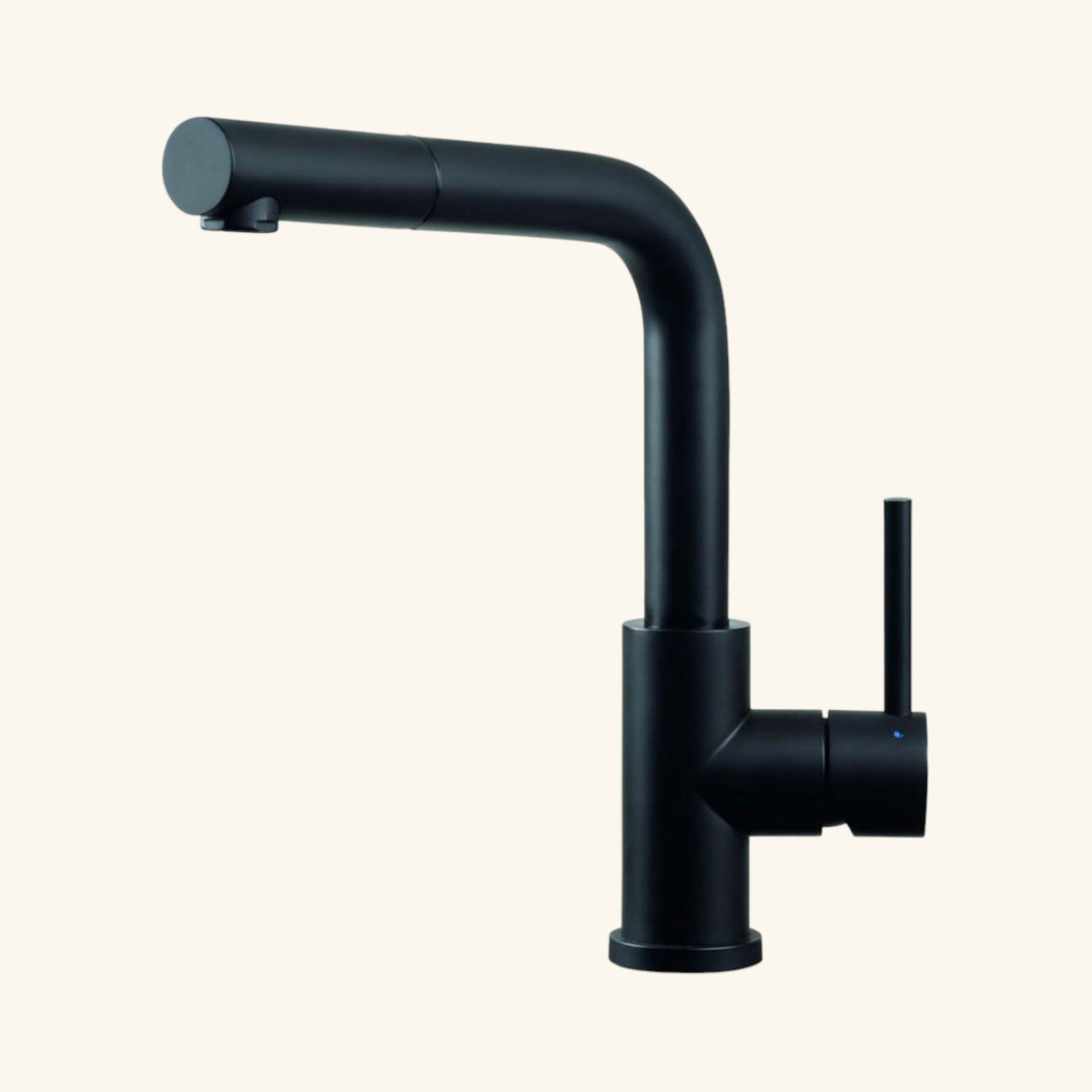 Robinet Douchette Luisina inox massif PVD noir LENA