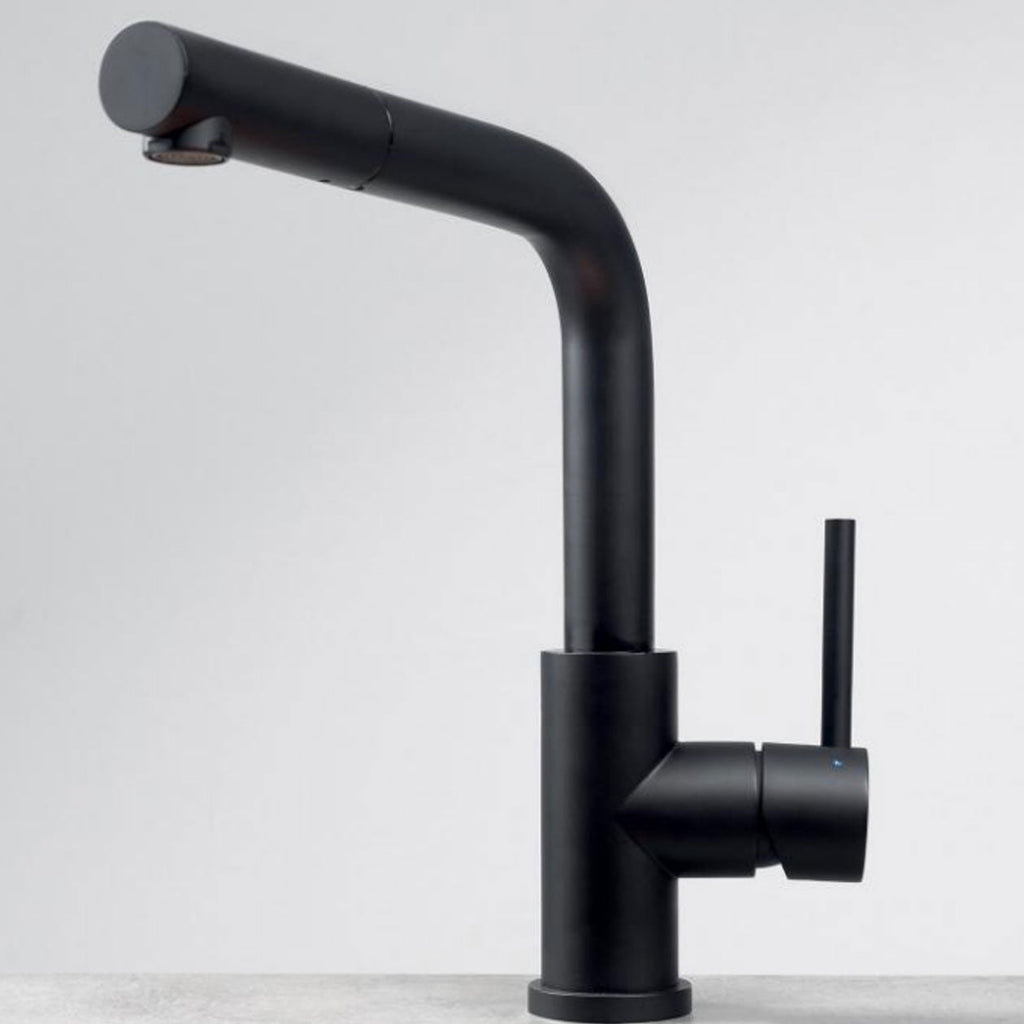 Robinet Douchette Luisina inox massif PVD noir LENA
