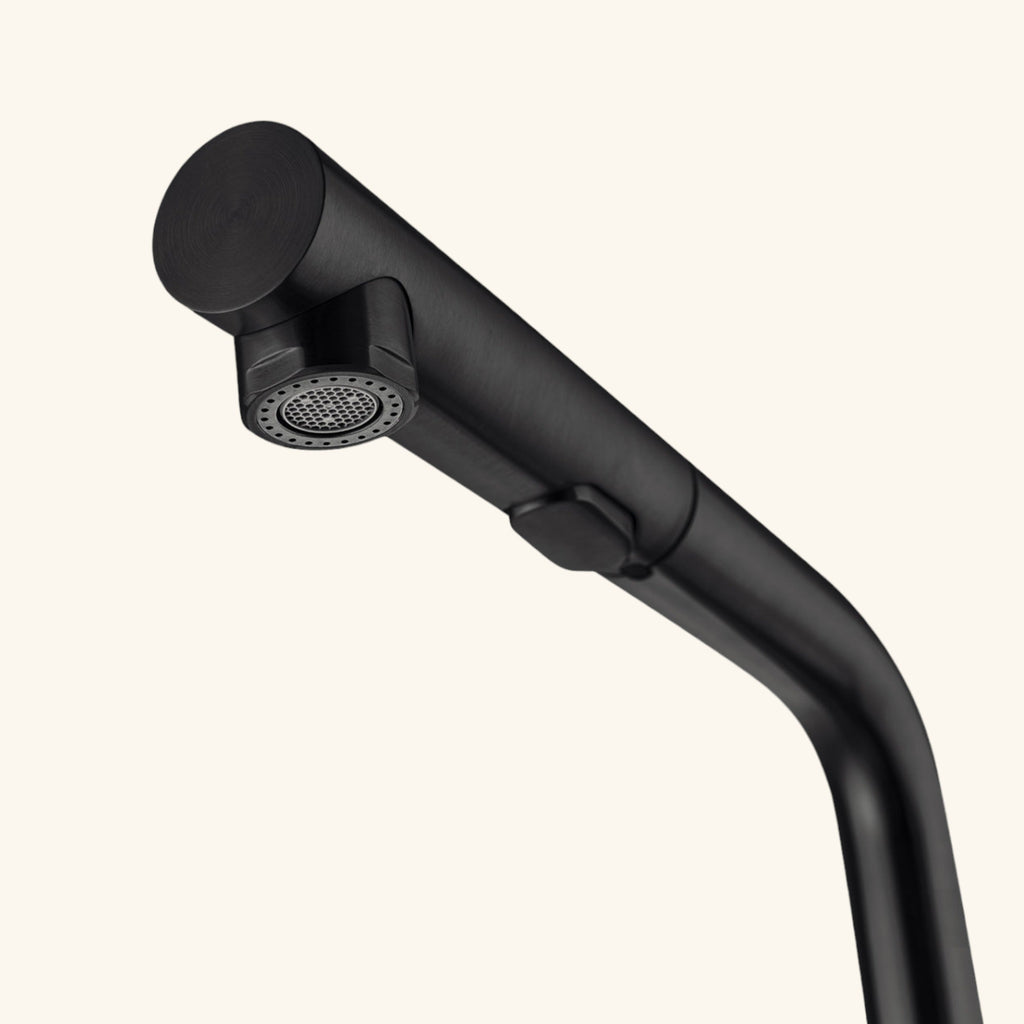 Robinet douchette Luisina inox PVD noir mat ARCHIE