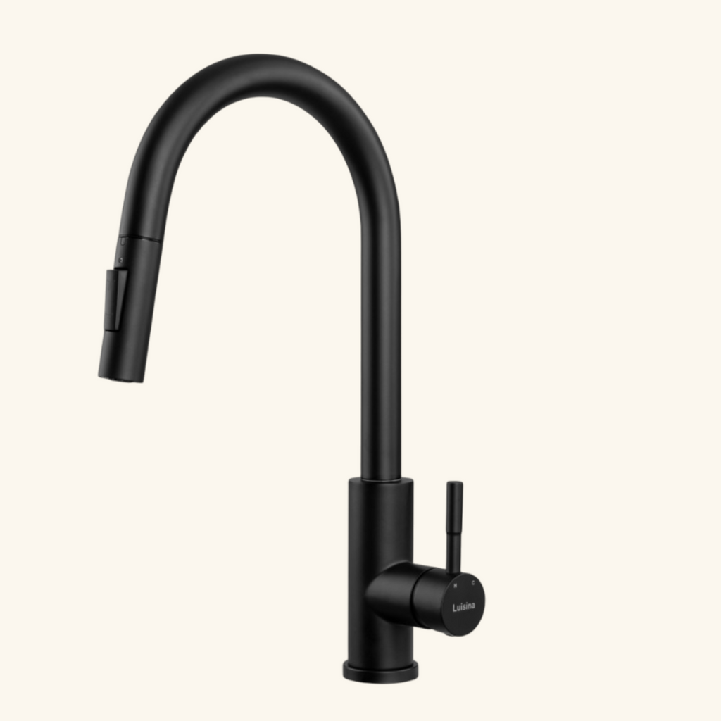 Robinet douchette Luisina inox massif noir mat MARCEAU