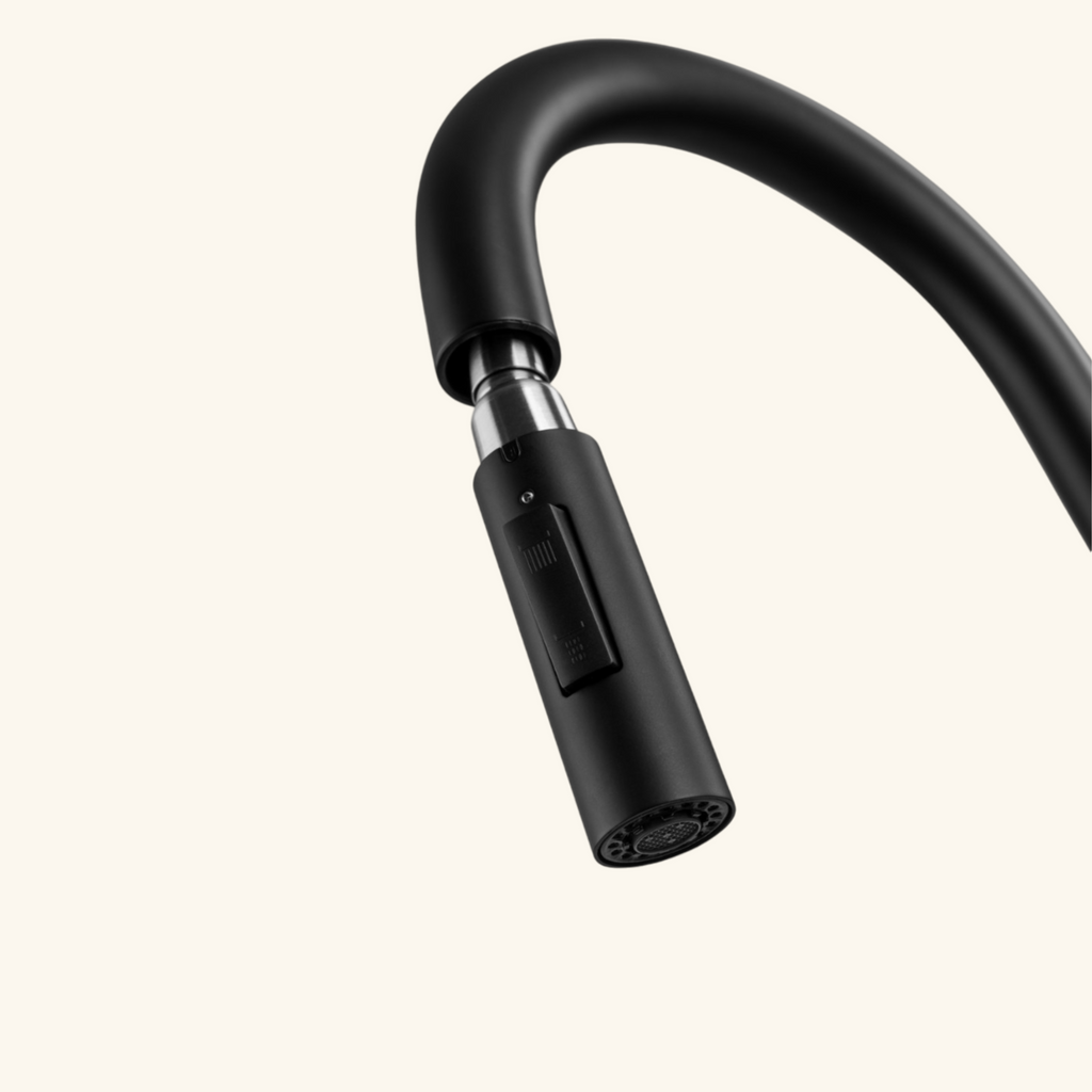 Robinet douchette Luisina inox massif noir mat MARCEAU