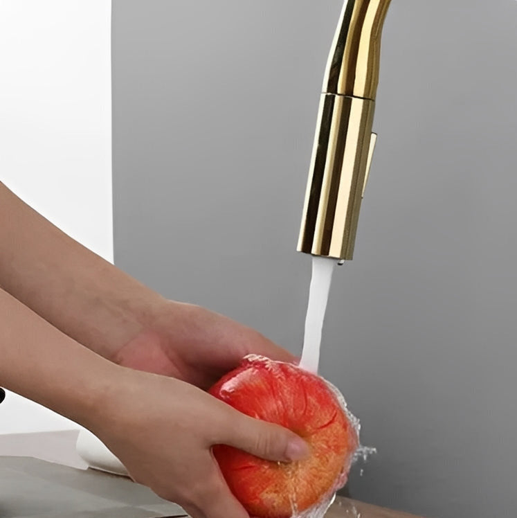 Robinet de cuisine extractible deux jets rotatif