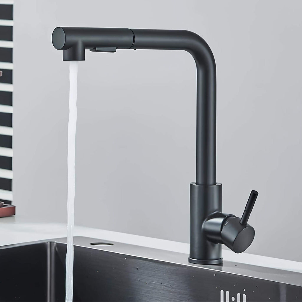 Robinet évier douchette rétractable noir inox