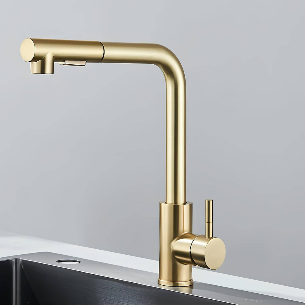 Robinet évier douchette rétractable noir inox